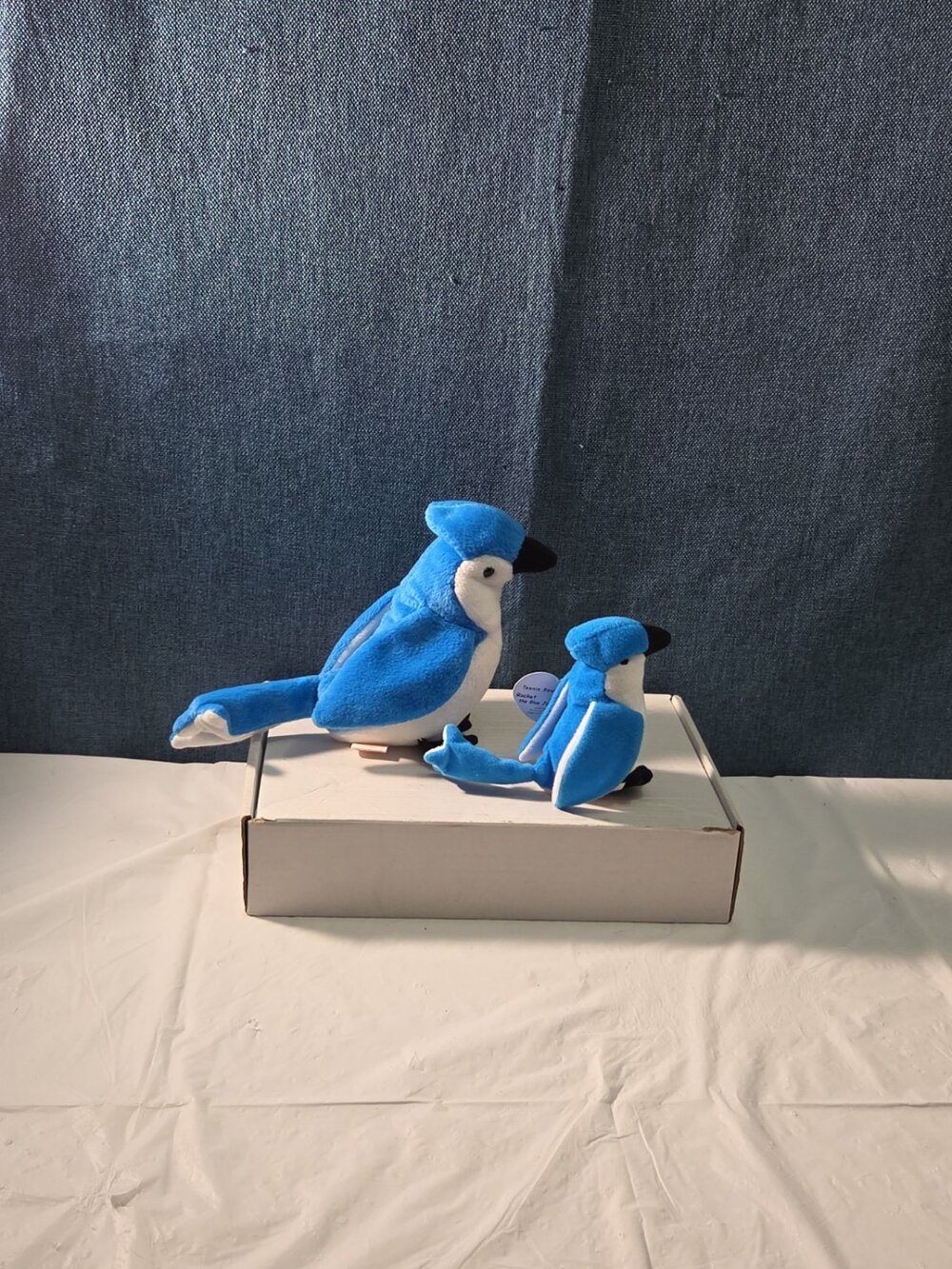 Ty Beanie Baby Rocket the Blue Jay Set Standard & Teenie Beanie 1998 NWT Bird - Picture 13 of 16